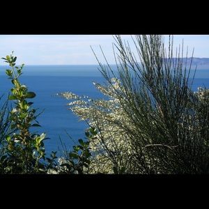 Meet your Posher, Lanora